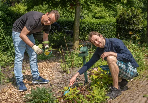 vrijwilligers van piezo verzorgen de tuinen rondom het gebouw aan de cesar franckrode fotograaf jeroen stahlecker