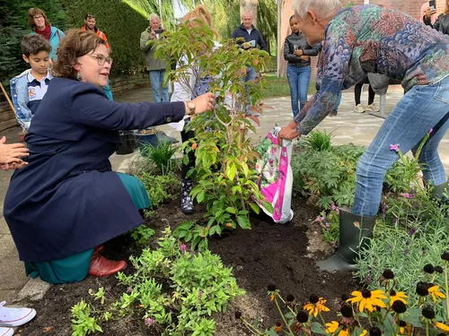 wethouder jacobien groeneveld plant boom bij opening buurttuin