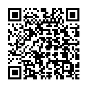 qrcode (1)