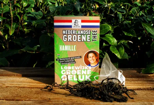 162084777 2057158767756166 3622919399269902465 o lodewijk localthea