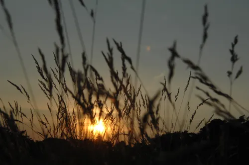 20130828 ondergaande zon jst1676