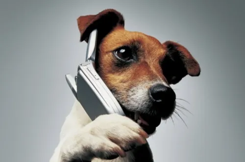 748328 14758744015873415 origin