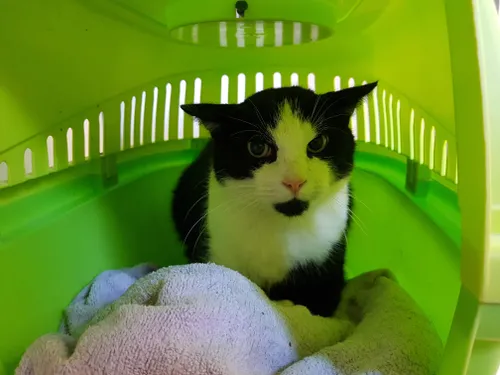 b3bf0307 afa6 474b b163 d5ad953aed48