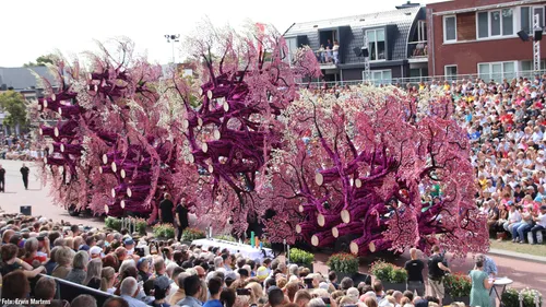 corsozundert2022 2eprijs helpt elkander groeimodel foto erwinmartens