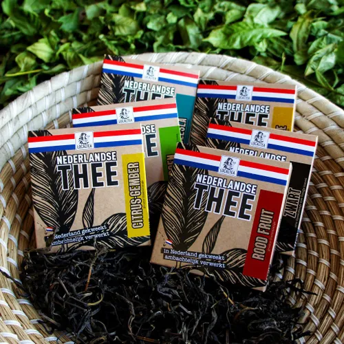 localtea proefpakket 1024x1024 at 2x