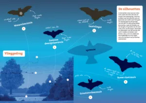 schermafdruk op 2020 05 22 16 32 34 300x212