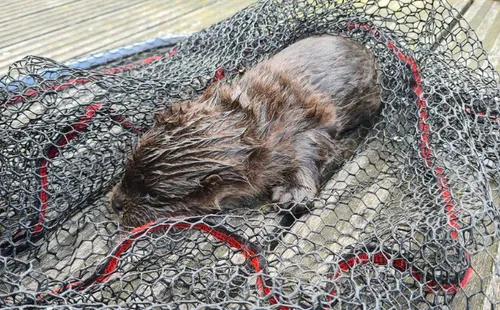 schermafbeelding 2022 06 11 om 194832