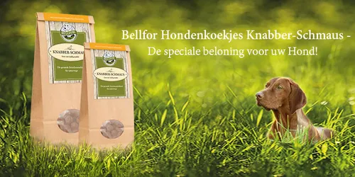 bellfor teaserbild knabberschmaus nl 760x380
