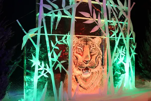 ijsbeelden festival zwolle 2022 opening 46