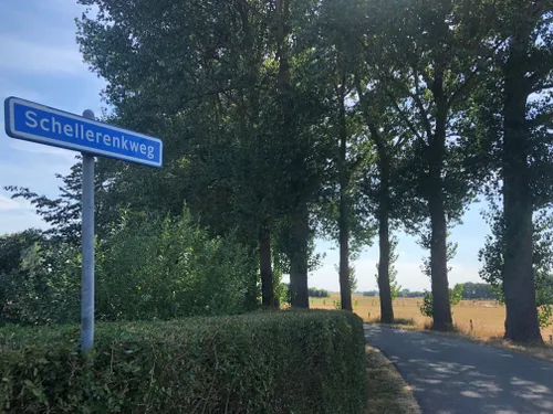 kathedaarl schellerenkweg