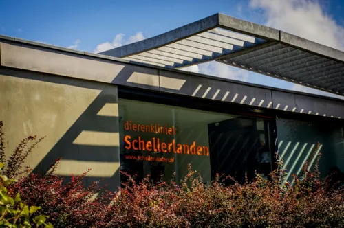 schermafbeelding 2019 10 11 om 083112