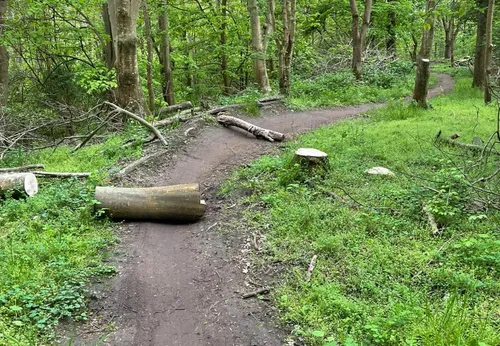 schermafbeelding 2021 05 11 om 204224