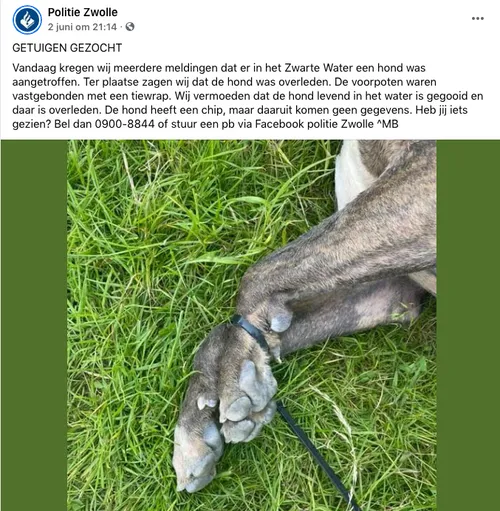 schermafbeelding 2021 06 04 om 102401