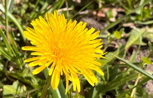 schermafbeelding 2022 04 22 om 094012