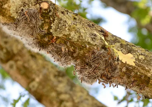 schermafbeelding 2022 05 24 om 190910