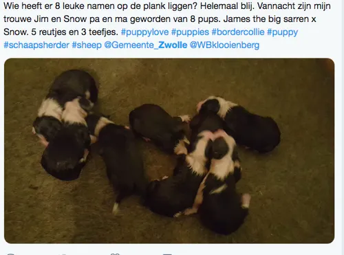 schermafdruk 2019 01 13 120012