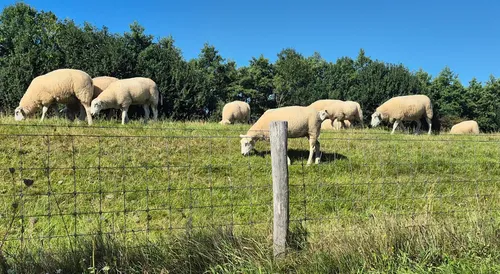 Schermafbeelding 2025-08-19 112228