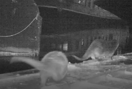 Schermafbeelding 2025-09-18 094417