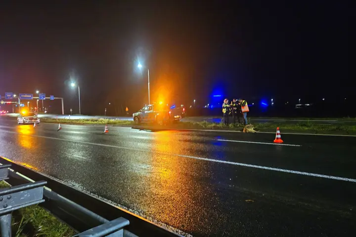 Wolf doodgereden Bennekom