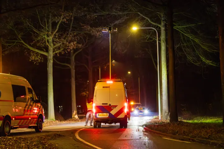 Automobilist zwaargewond bij botsing tegen boom in Tilburg