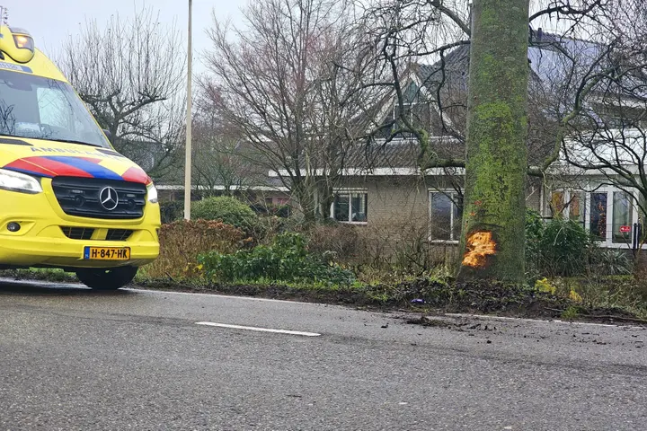 Sportwagen op boom in Moordrecht