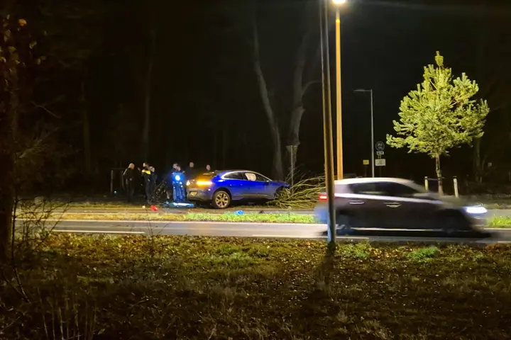 Jaguar I-Pace tegen boom