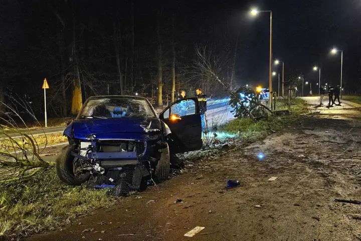 Jaguar I-Pace tegen boom