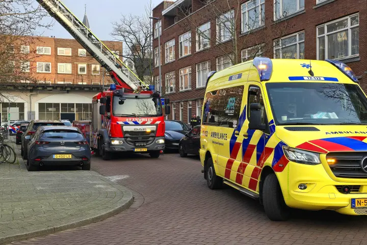 man van dak in rotterdam