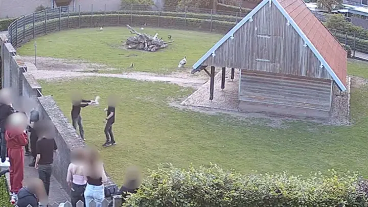 Bewakingsbeelden Hertenkamp Mierlo