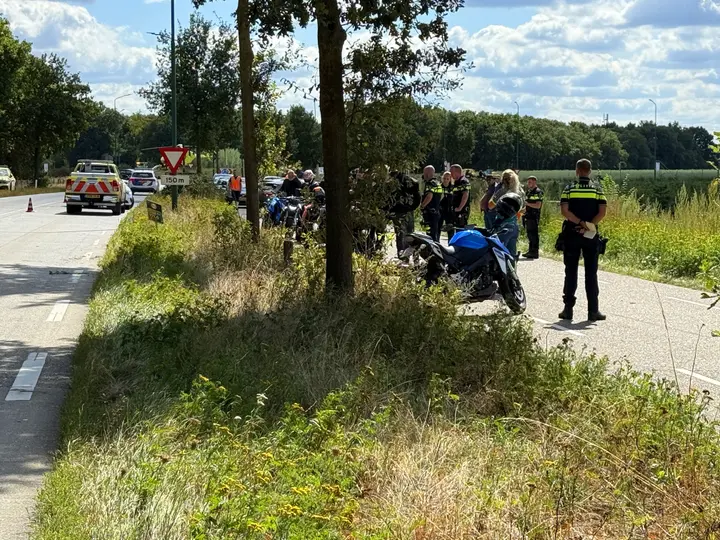 motorrijder op boom in zeeland3