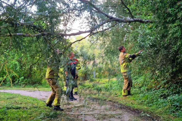 Brandweer voor takje in zwolle