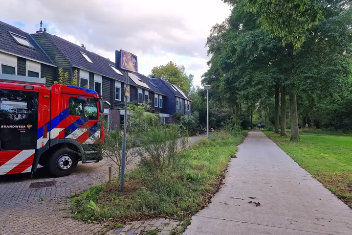 Brandweer voor takje in zwolle