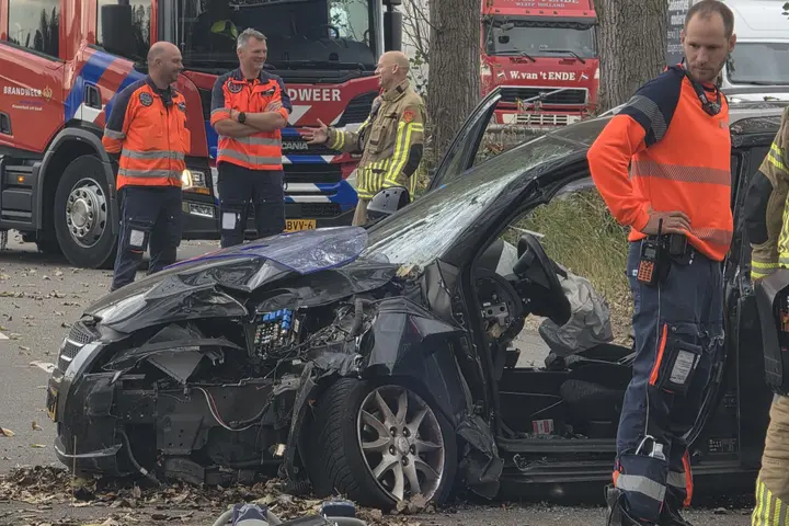 Botsing boom moordrecht