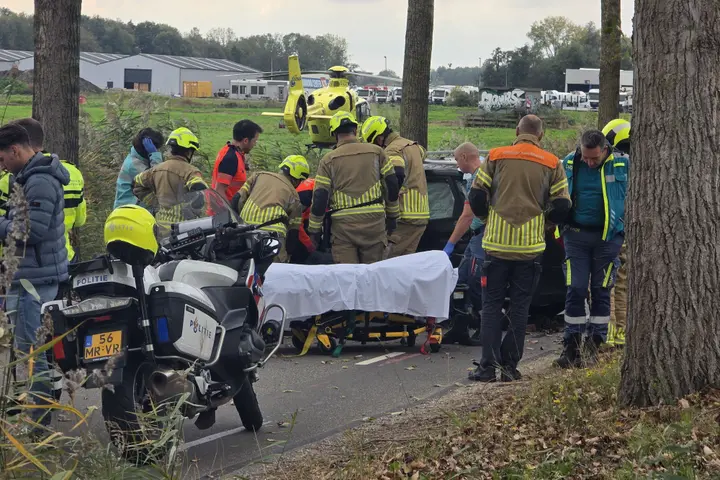 Botsing boom moordrecht