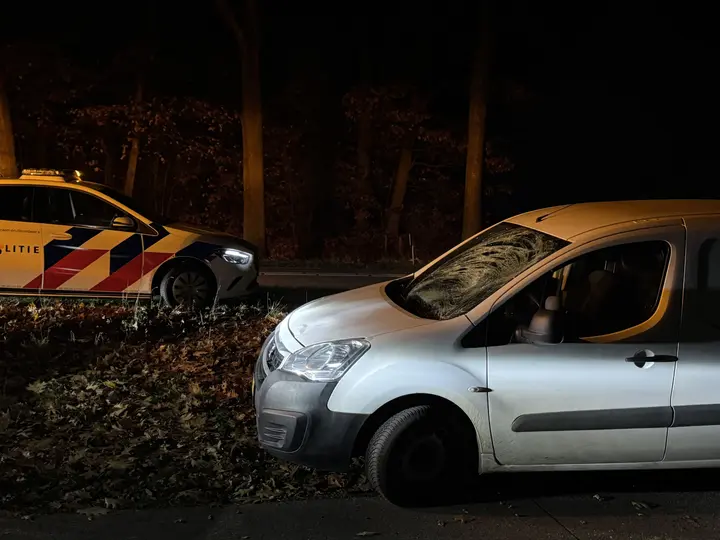 Vrouw geschept tijdens hondjes uitlaten