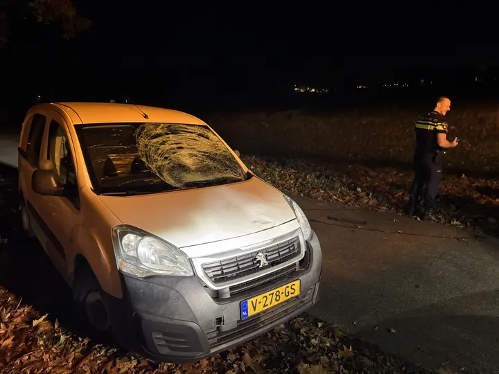 Vrouw geschept tijdens hondjes uitlaten