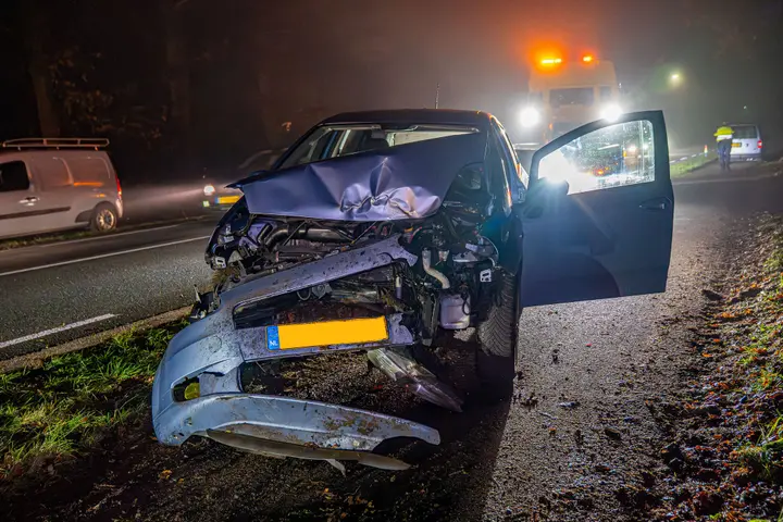 Auto op boom Loenen