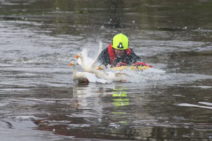 Brandweer duikt in water Urk
