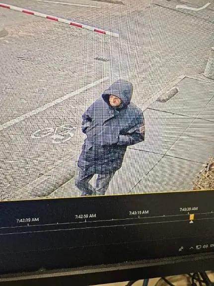 Vermiste Pawel