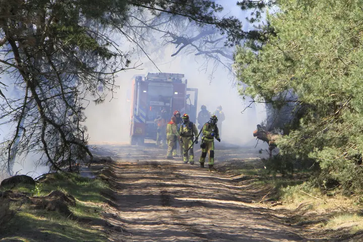 Brand Weert