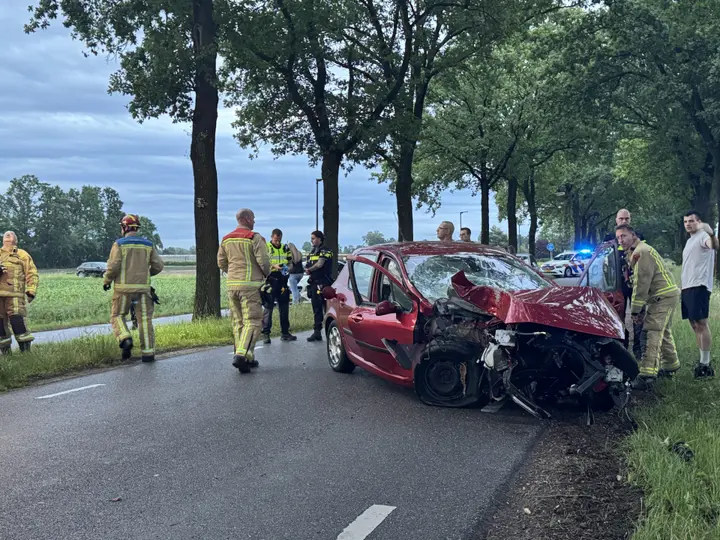 Auto boom beek en donk