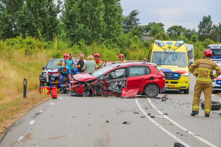 Wesp in auto zorgt voor ongeluk Zutphen.jpg