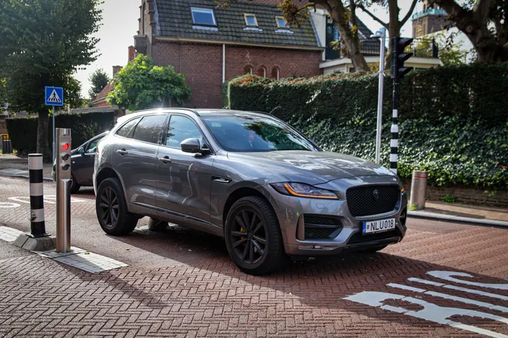 Jaguar pollenboog