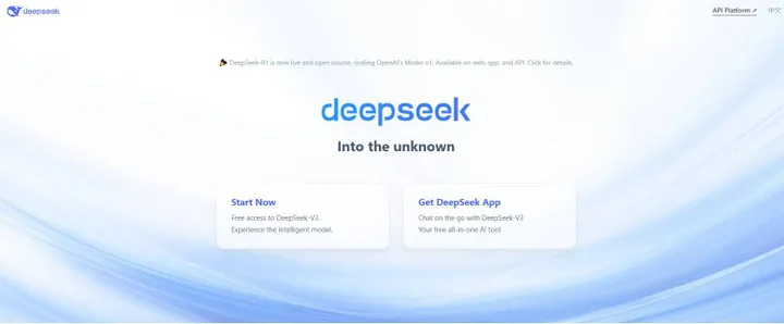 DeepSeek interface