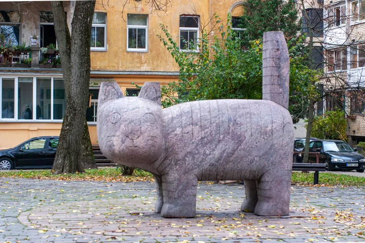 a pavelko nuotr