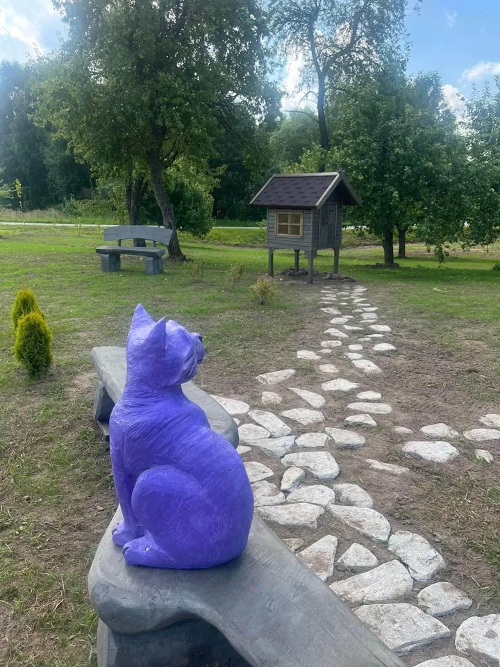 image 21