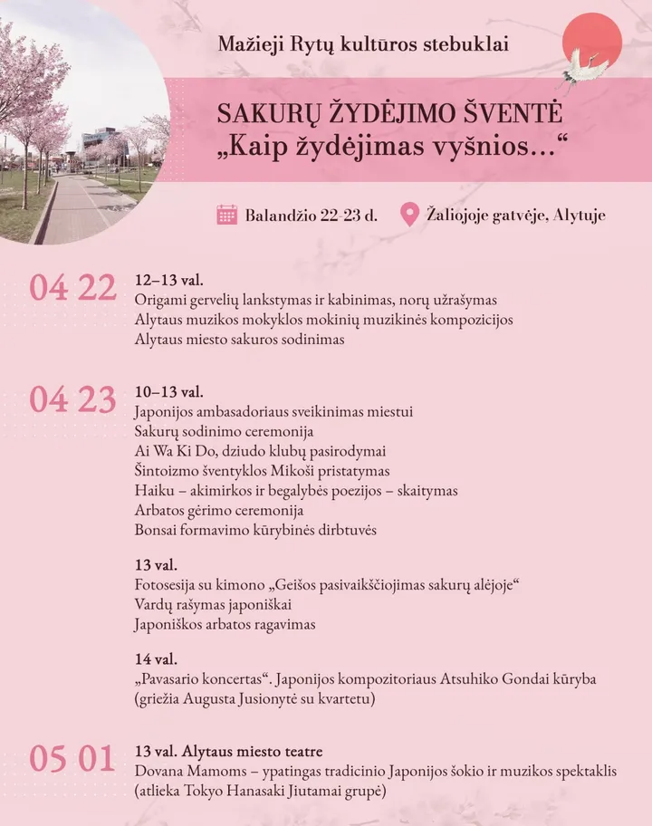 kaip zydejimas vysnios programa scaled