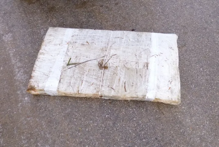 kantralytisp1050847 003 53536