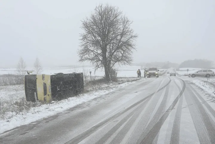 lazdau