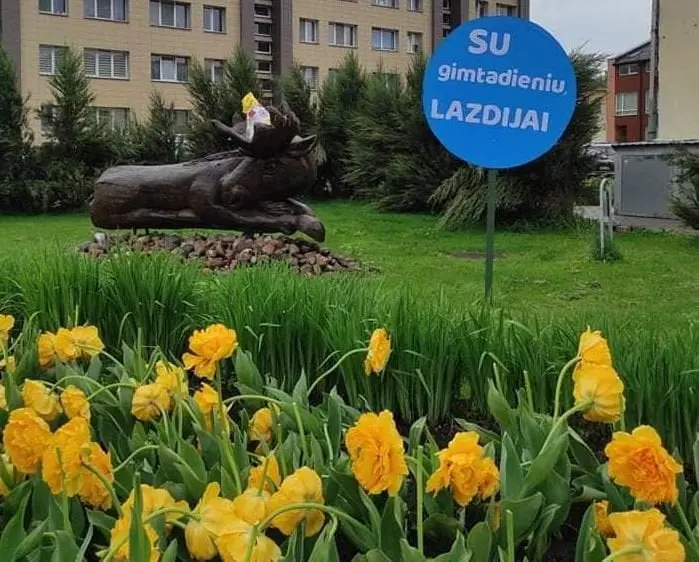 lazdicapture